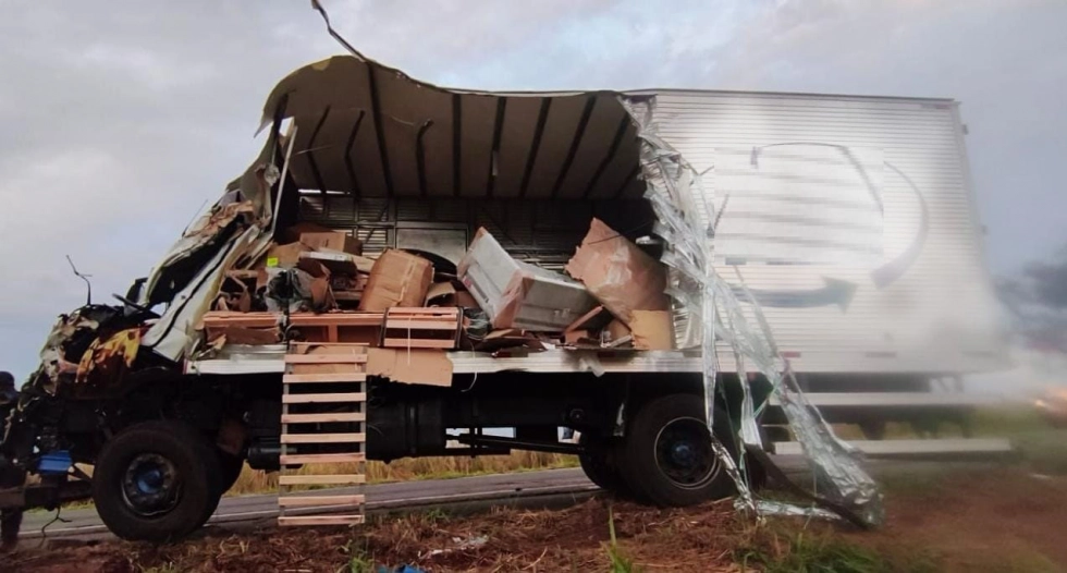 Caminhoneiro perde controle de direção e morre ao bater em árvore às margens da BR-267