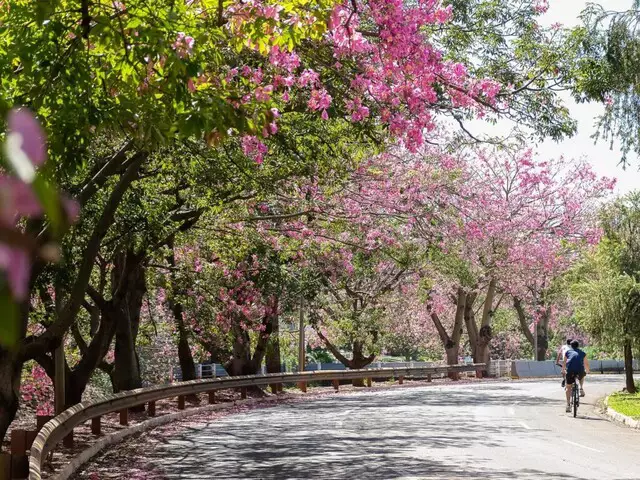 Campo Grande faz 127 anos: bonita, verde e ainda cheia de desafios