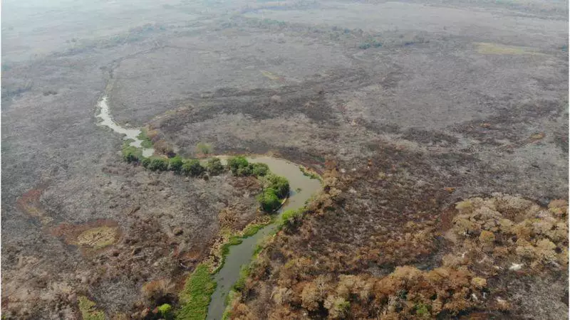 Pantanal quadruplica área queimada de 2025 e ultrapassa 80 mil hectares