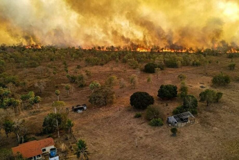 MPMS cria unidade para atuar em crimes ambientais e conflitos fundiários no Pantanal