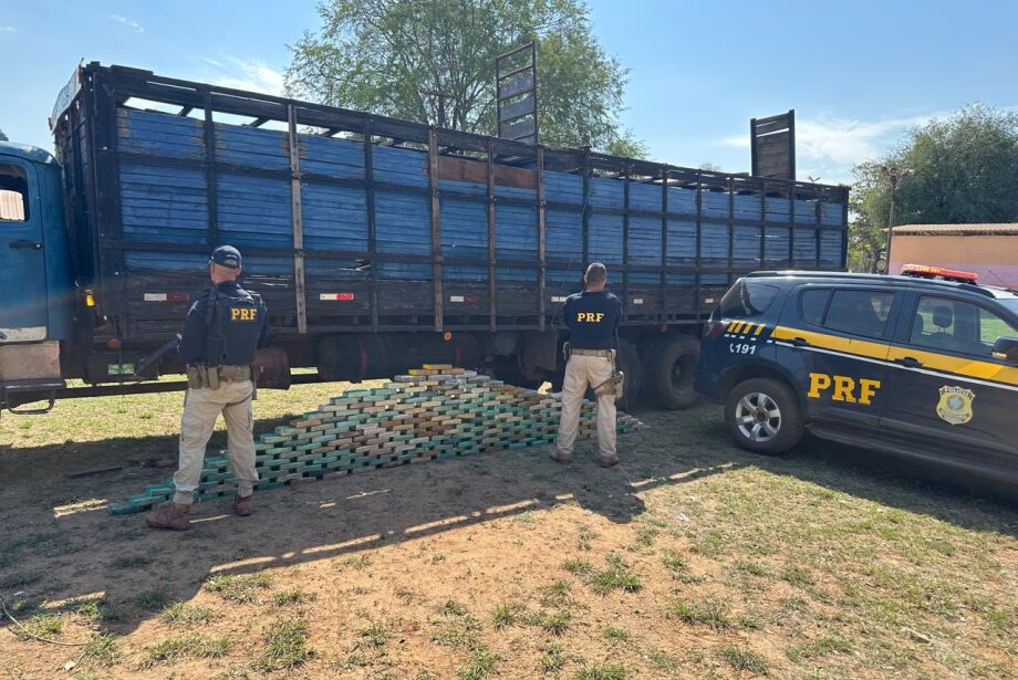 PRF apreende quase 200kg de cocaína em caminhão de boi na fronteira com a Bolívia