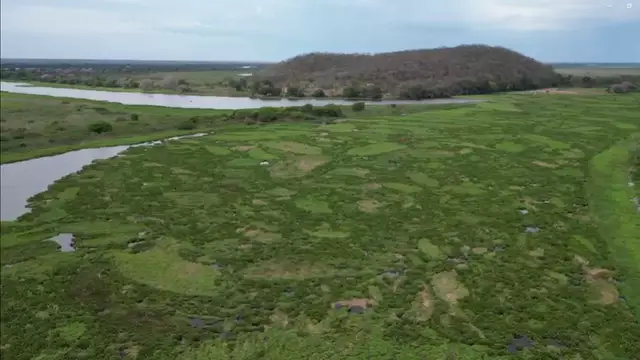 Com canal travado e via inundada, comunidade volta a ficar isolada no Pantanal