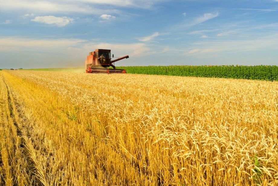 Inadimplência no crédito rural quase dobra e acende alerta em MS