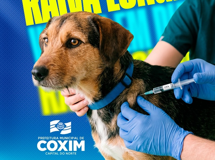 Campanha antirrábica em Coxim: vacinação de cães e gatos ocorre nos dias 19 e 26 de setembro