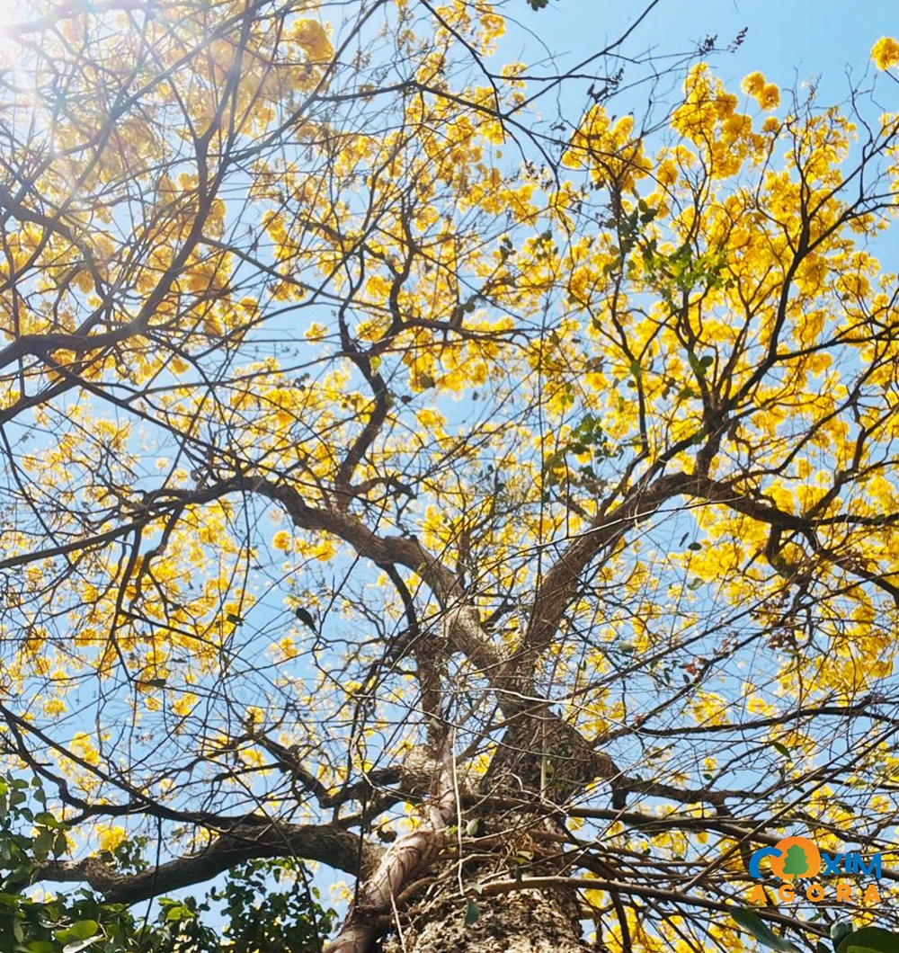 Coxim terá sexta-feira de muito calor e céu com muitas nuvens