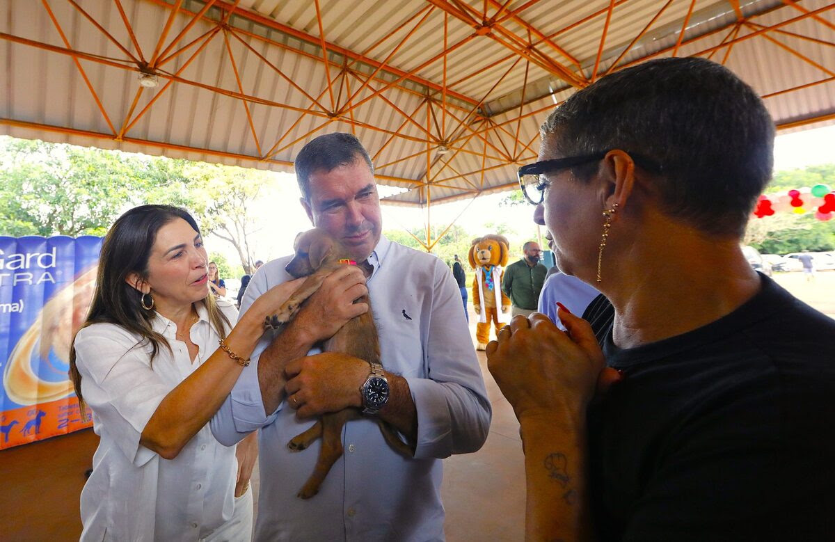 Castração gratuita chega a 25 mil cães e gatos e amplia acesso de famílias em MS