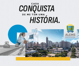 ALEMS – 300×250