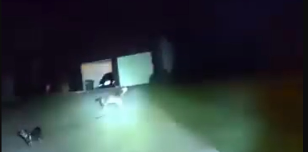 Cão pede ajuda à polícia salvar dono, que ficou caído em casa por 3 horas