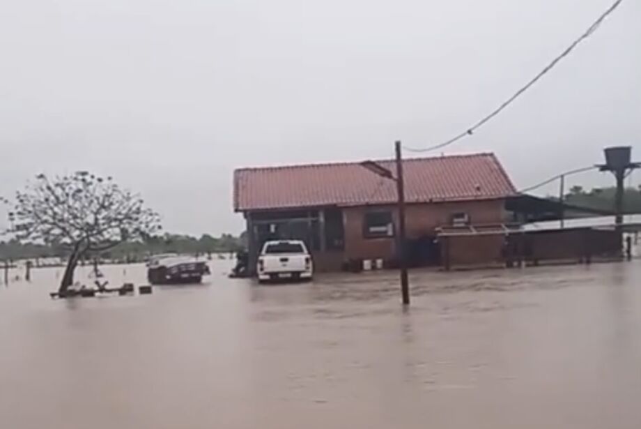 Do seco ao alagado: chuvas mudam cenário do Pantanal e acendem alerta