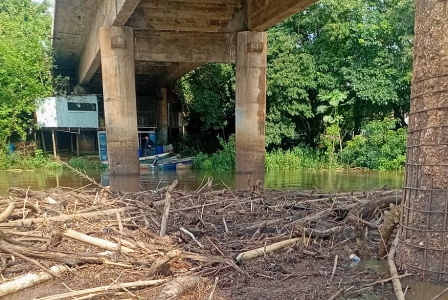 Em cheia antecipada, rio mais piscoso do Pantanal sobe mais 50 cm